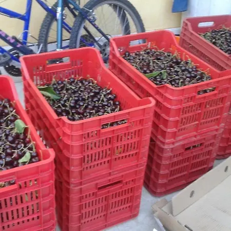 Le Bottesele 팜스테이