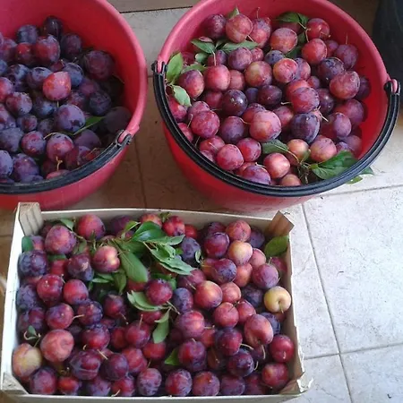 Le Bottesele בית חווה
