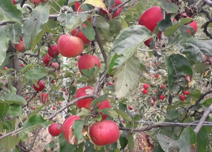 Le Bottesele * San Zeno di Montagna