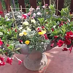 Le Bottesele Agroturismo *