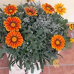 Le Bottesele * San Zeno di Montagna