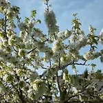 Le Bottesele Agroturismo San Zeno di Montagna