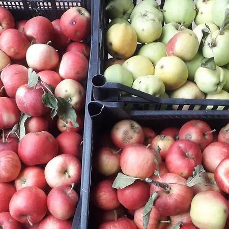 Séjour à la ferme Le Bottesele *