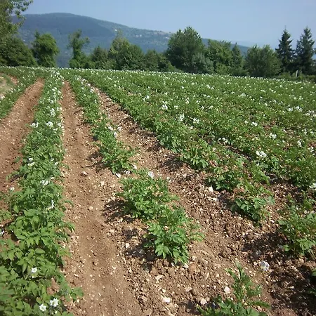 Le Bottesele Séjour à la ferme
