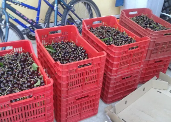 Le Bottesele Agroturismo