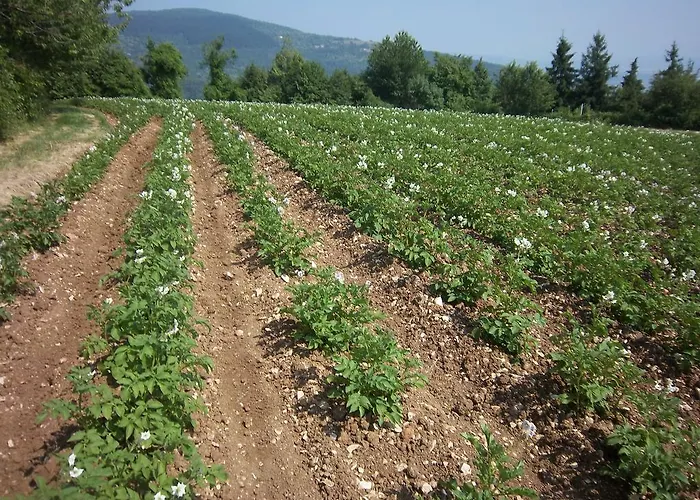 Le Bottesele Agroturismo