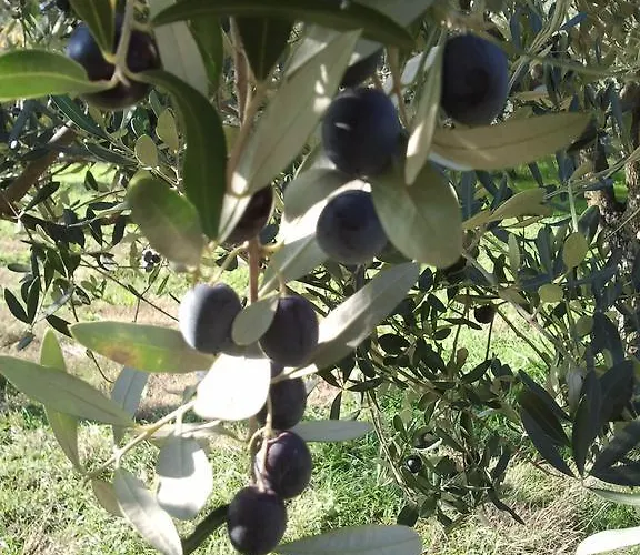 Le Bottesele San Zeno di Montagna