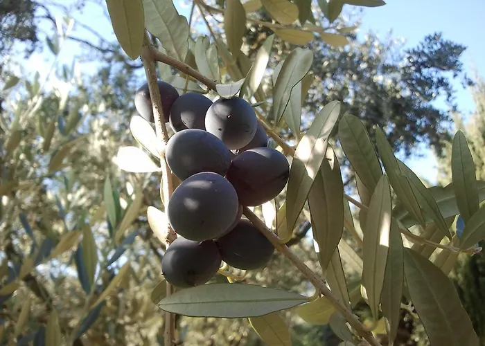 Agroturismo Le Bottesele *