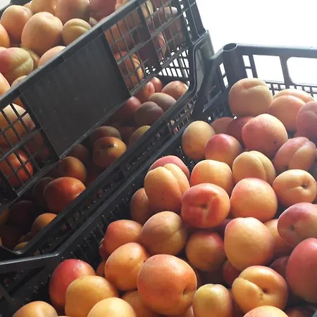 Feriegård Le Bottesele *