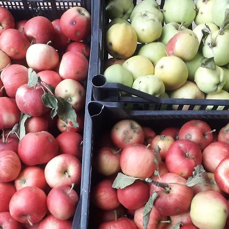 Feriegård Le Bottesele *