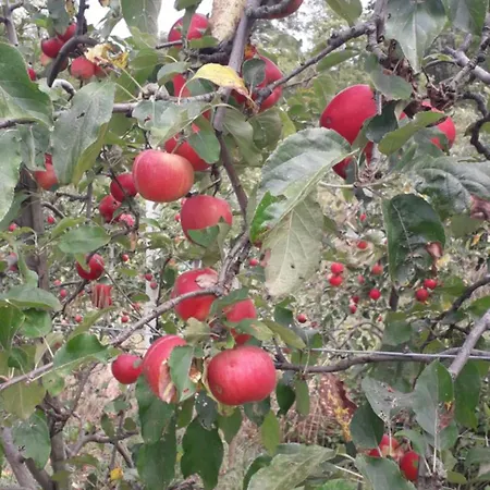 Le Bottesele * San Zeno di Montagna
