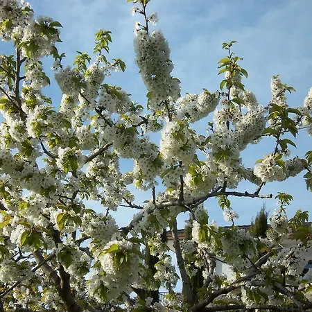 Le Bottesele Feriegård San Zeno di Montagna